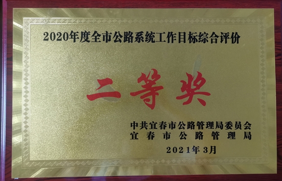 2020年度 綜合評價(jià)二等獎(jiǎng)_看圖王